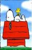 Snoopy
