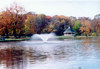 Park-kohler